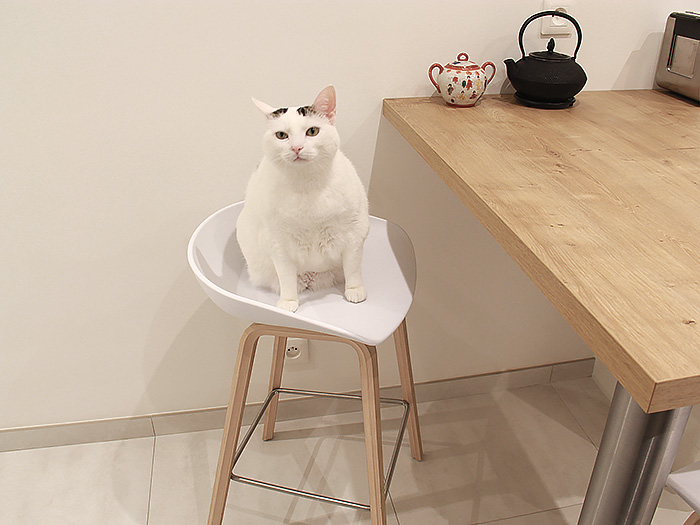 renovation-cuisine-bois-blanc-tabouret-hay