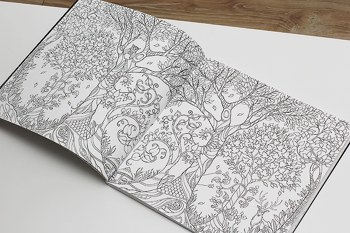 foret-enchantee-carnet-coloriage-arbres