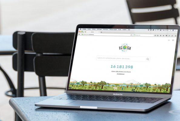 Ecosia, un moteur de recherche qui plante des arbres