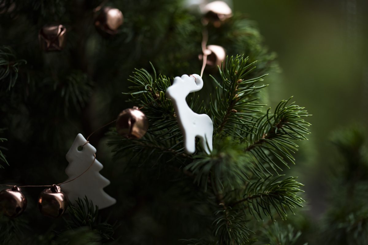Sapin naturel versus sapin artificiel : quel choix pour la planète ?