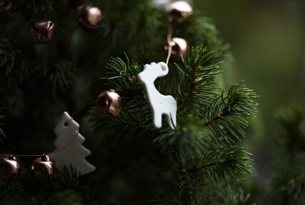 Sapin naturel versus sapin artificiel : quel choix pour la planète ?
