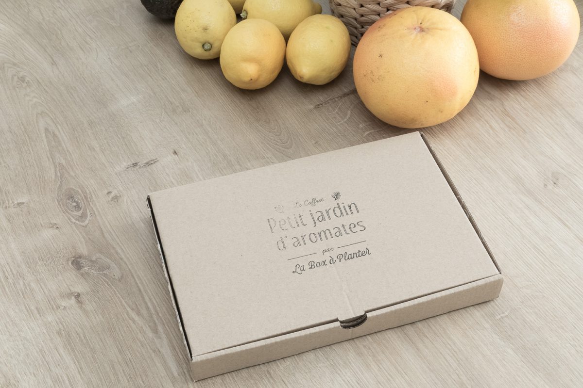 Petit jardin d’aromates par La Box à planter [graines biologiques]